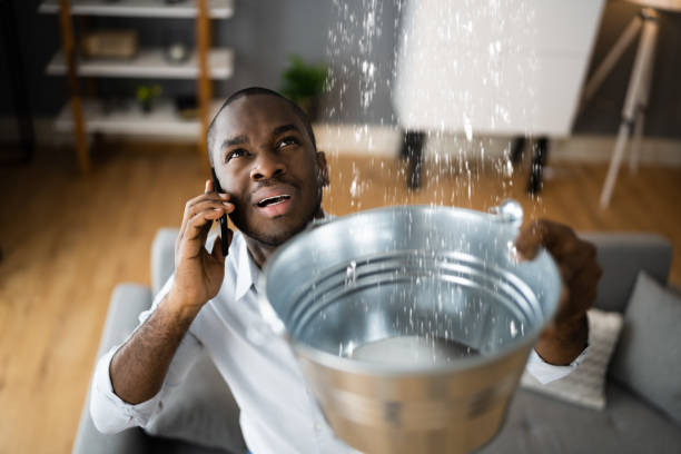 Best Professional water damage repair  in Fairfax, SC