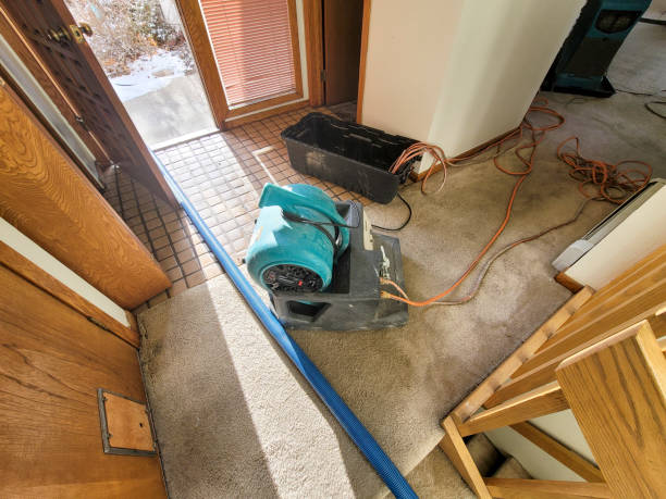  Fairfax, SC Water damage restoration Pros