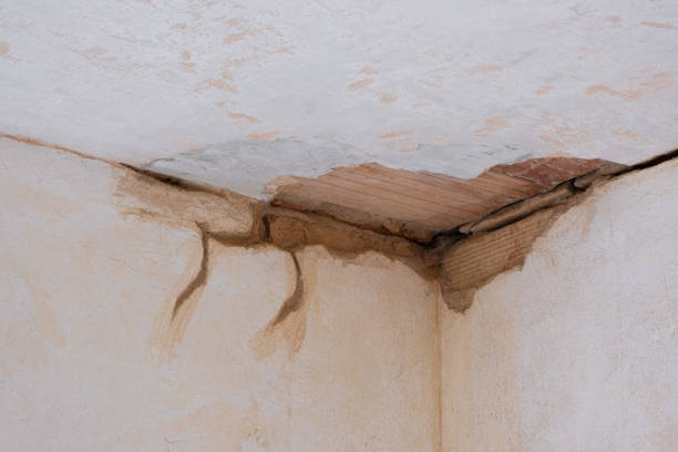Best Mold removal after water damage  in Fairfax, SC