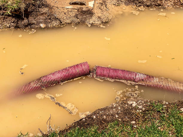 Best Emergency water damage restoration  in Fairfax, SC